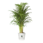 greenville round 40cm white